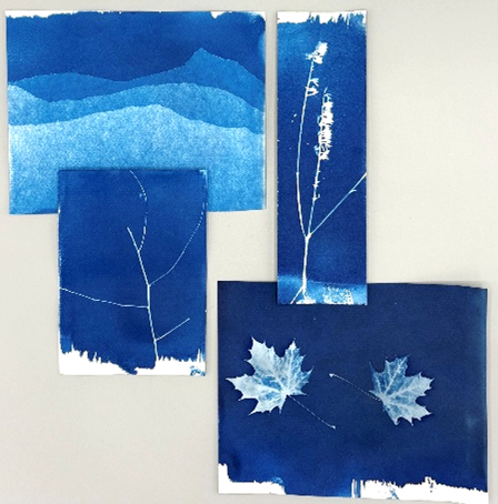 Wir machen blau – Cyanotypie!